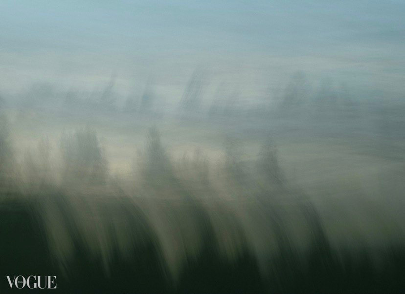 Об авторе. Mixed-media Artist Irina Sokolova