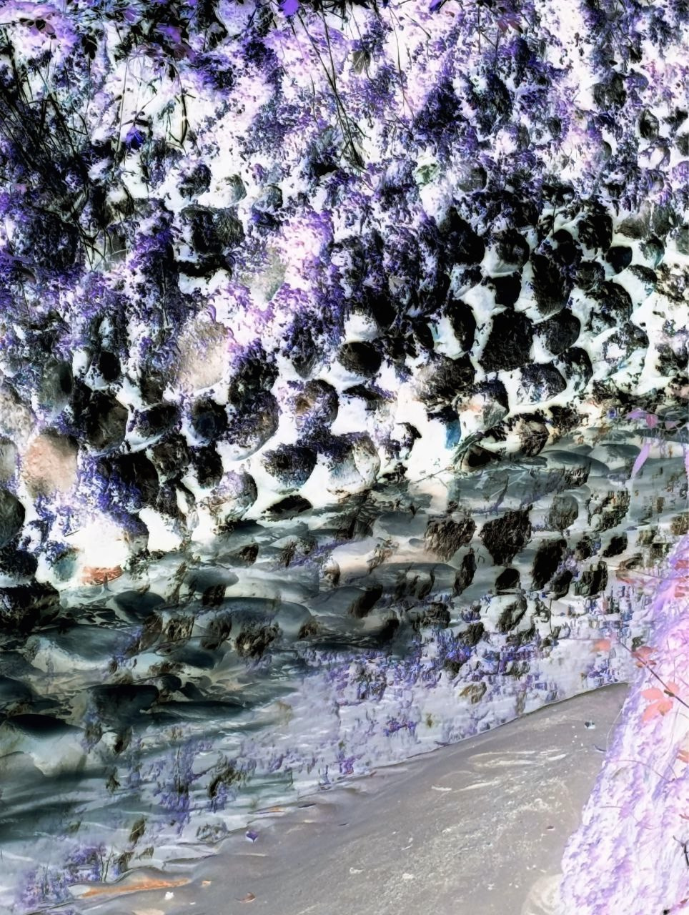 Елена Чернышова — Пираты воображения