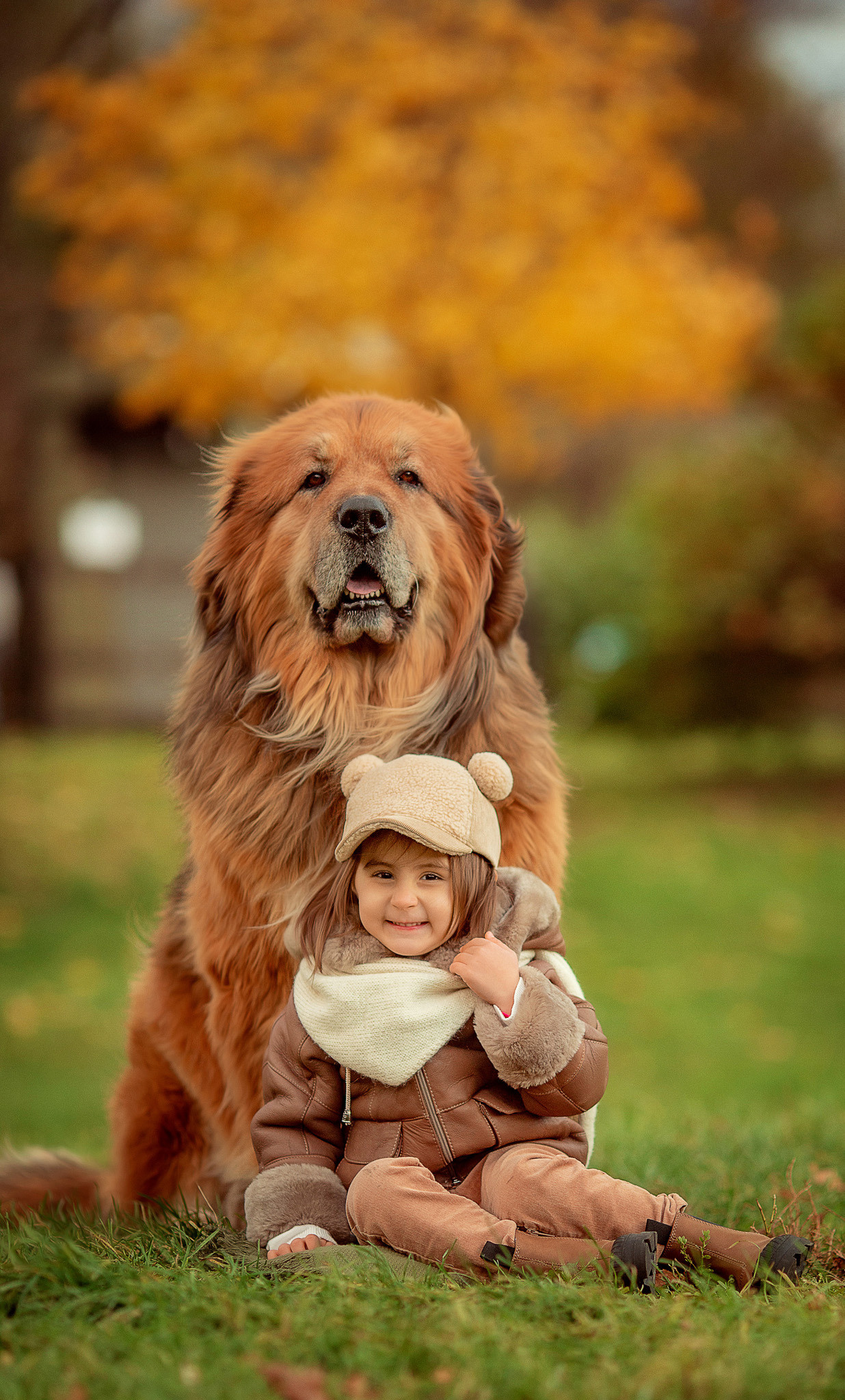 Дина с семьей и 2 Тибетских мастифа. Детский и семейный фотограф с животными в Москве Гурьева Надежда