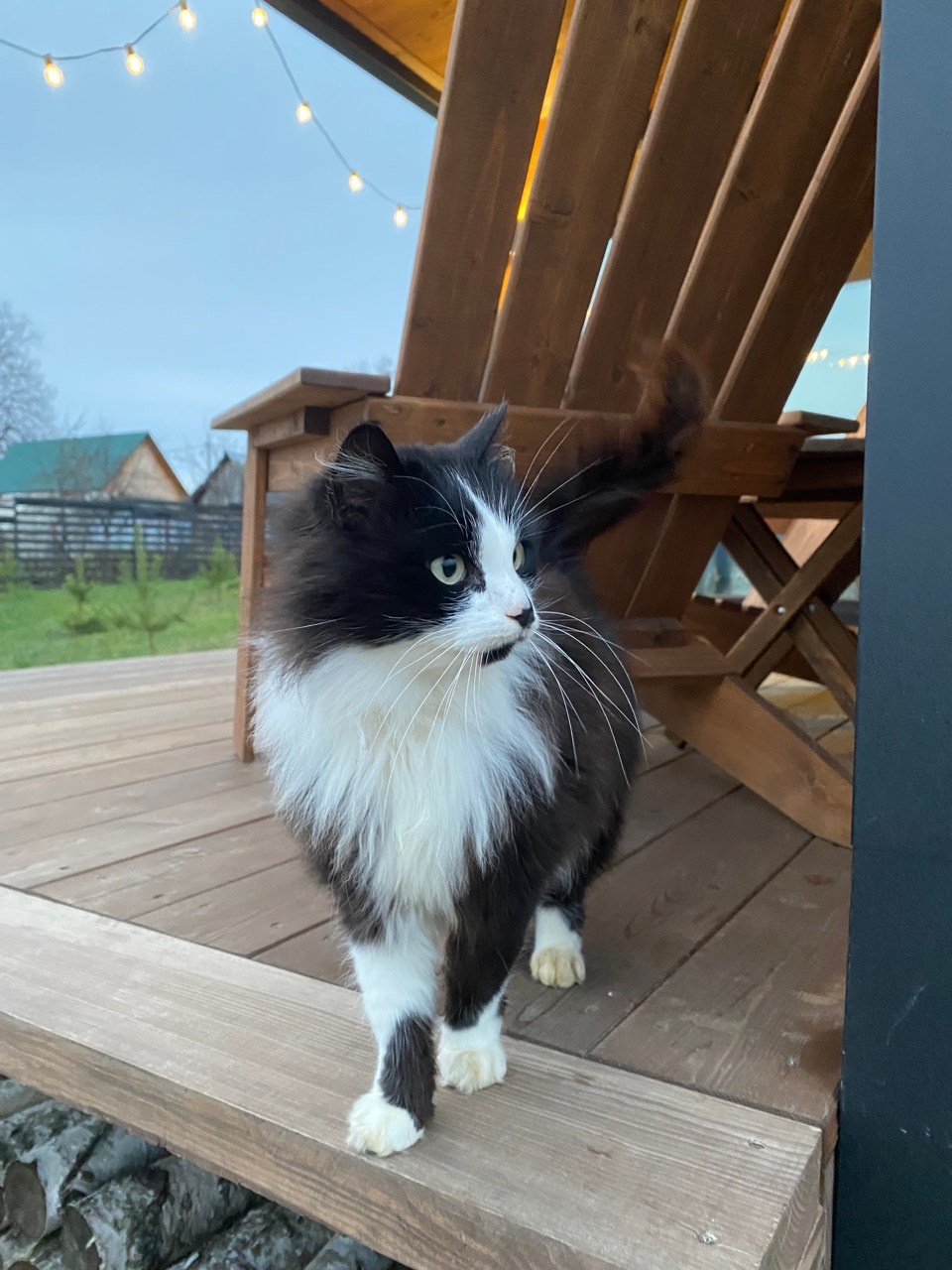 Глэмпинг. Аренда дома для отдыха в Брянске. Банный чан, зона BBQ. Дом на озере в Брянске. Отдых Брянск