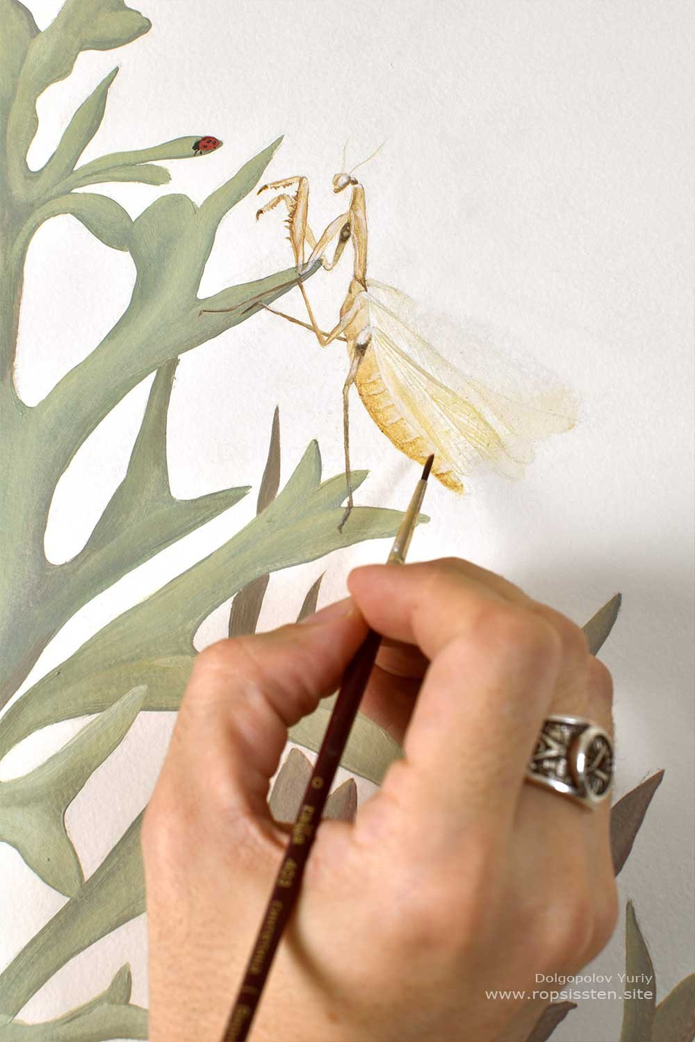 роспись стен с насекомыми