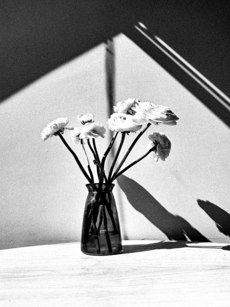 МАРАФОН ФОКУС НА ПРЕКРАСНОМ. Фотограф Анастасия Дмитриева