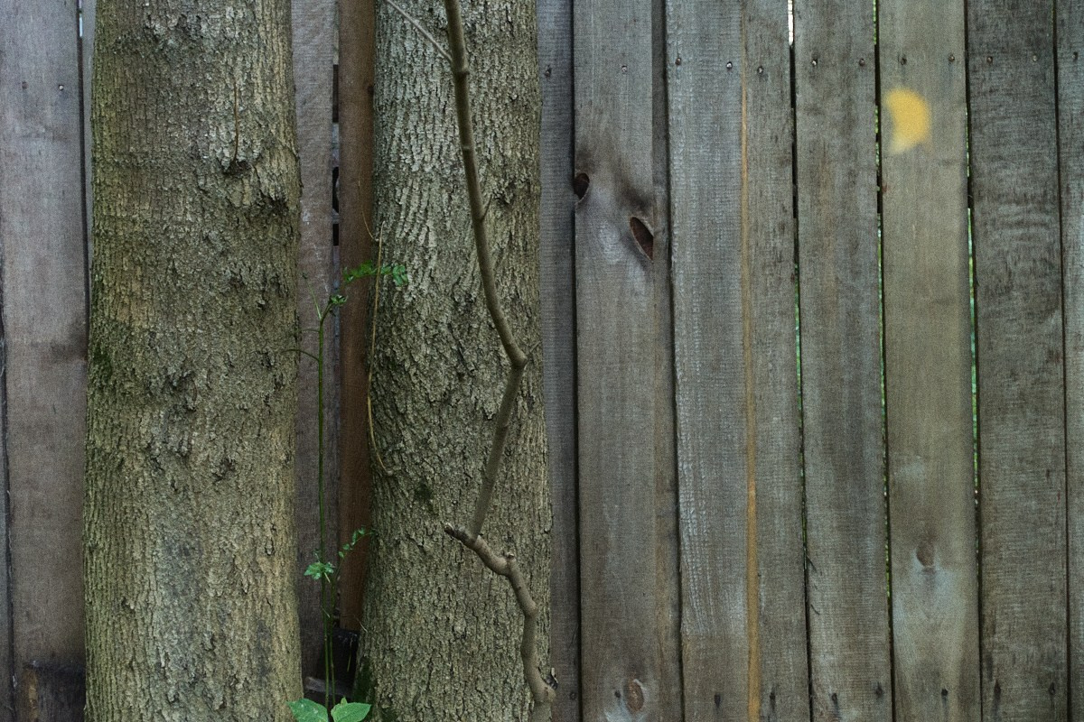 8-9/25. Иван Кобяков