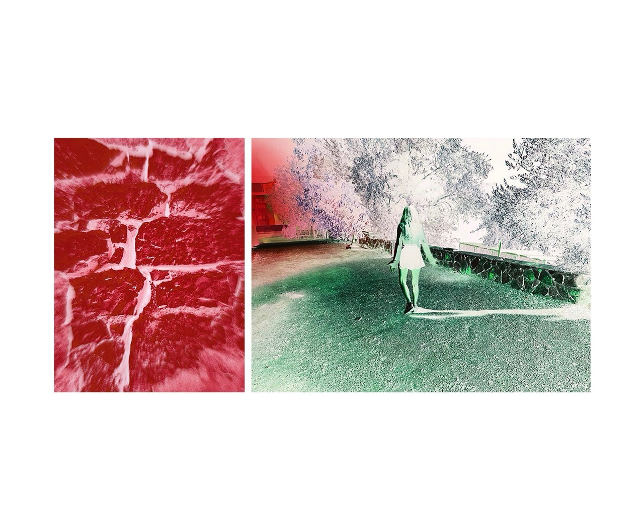 DIPTYCH STORY. VISUAL ARTIST