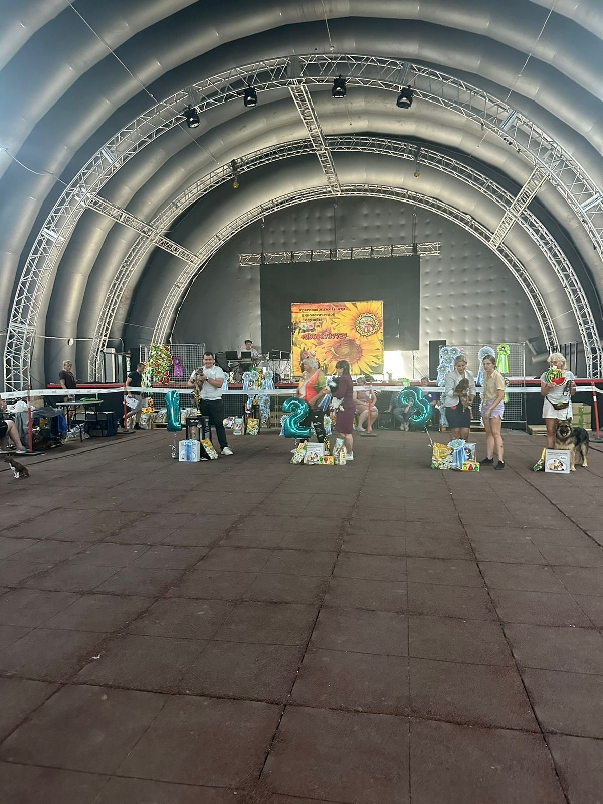 американский булли Юг, американский булли южный округ, лучшие американские булли на юге россии, топовые булли в россии, топовые американские булли в россии, ТОП булли, Топ американский булли, самые крутые американские булли, булли клаccик, булли покет, булли стандарт, булли экзот, булли xl, амeриканский булли, щенок булли, американский булли питомник, американский булли купить, американский булли щенок, американский булли москва, американский булли ростов-на-дону, американский булли краснодар, американский булли ставрополь, американский булли волгоград, американский булли семфирополь, американский булли ставрополь, американский булли сочи, американский булли воронеж, американский булли питер, американский булли санкт-петербург, американский булли Казань, американский булли Новосибирск, американский булли Челябинск, американский булли Ростов, американский булли Луганск, американский булли Донецк, американский булли покет, американский булли классик.американский булли ,американский булли щенки , американский булли купить ,американский булли фото , американский булли покет , собака американский булли , порода американский булли , американский булли цена , купить щенка американского булли ,американский булли характеристика , порода собак американский булли, питомник американских булли , американский булли отзывы, американский булли стандарт , американский булли отзывы владельцев, американский булли xl , россия американские булли , американские булли москва , американский булли вес , американский булли цена щенка, американский булли породы собак сша , американский булли размеры , американский булли классик , американский булли классика , американский булли характеристика породы , авито американский булли , сколько стоит американский булли , окрасы американских булли , американский булли виды , американский булли типы , американский булли цена в россии , американский булли экзот , американский булли микро , американский булли мини , собака американский булли фото , американский булли спб , американский булли характер , минусы американского булли , купить американского булли в москве , американские булли сколько щенков , плюсы американского булли , американский булли плюсы и минусы , взрослый американский булли , американский булли фото цена , американский булли фото щенков , американский булли крым , сколько живут американские булли , американский булли описание , американский булли купить авито , американский булли ростов , собачий питомник , питомник для собак , собаки , порода , щенки, щенок для детей, щенок для ребенка, щенок для семьи, собака для ребенка, питомник BULLY LOVERS, питомник THE POWER OF SIBERIA, питомник Ultimate Bully, питомник FORTIS FORTUNA VALIDI, питомник EXTREME BEAR, питомник American Dream, Питомник RUSSIAN BULLS, питомник ТАРУС & BULLY LAND, питомник Bully Ranch P&N, Питомник ANTREABULLS, питомник Ambully House, питомник Mar Nero, питомник Alfabulls, #micro #microbully #ambully #ambullys #ambullylife #ambullyforlife #ambullyworld #ambullylove #ambullylover #ambullylovers #ambullyloversfans #americanbullybreed #americanbullykennelclub #американскийбуллипитомник #bullies #bulliesallday #bulliesofig #bulliesofinsta #bulliesofinstagram #instabullies #bullieslife #bullymag #americanbully_feature #americanbullydog #tribullies #americanbullyblue #americanbullytricolor #bullystick #americanbullyStud, американский булли,американский булли щенки,американский булли купить,американский булли покет,американский булли фото,собака американский булли,порода американский булли,американский булли цена,американский булли купить щенка,американский булли характеристика,порода собак американский булли,американский булли отзывы,питомник американских булли,американский булли стандарт,американский булли отзывы владельцев,россия американские булли,американский булли виды,американский булли цена щенка,сколько стоит американский булли,американский булли цена в россии,американские булли москва,американский булли xl,американский булли размеры,типы американских булли,американский булли мини,американский булли вес,авито американский булли,американский булли породы собак сша,американский булли микро,американский булли характеристика породы,американский булли экзот,американский булли классик,американский булли классика,собака американский булли фото,американский булли характер,минусы американского булли,американские булли спб,американский булли окрасы,американский булли купить в москве,американские булли сколько щенков,плюсы американского булли,американский булли видео,американский булли плюсы и минусы,американский булли щенок фото,взрослый американский булли,американский булли девочка,американский булли описание,сколько живут американские булли,американский булли покет купить,американский булли крым,american bully,american bully ru,american bully ru shchenki,https american bully ru,https american bully ru shchenki,american bully xl,american bully питомник,american bully dog,american bully kennel,american dream bully,american bully pocket,american bully kennel club,all american bully фильм смотреть,american bully xxl,reddit american bully,american bully ru shchenki html,american bully wise,celina innovations crochet american bully part,https american bully ru shchenki html,american bully classic,питомник американских булли,питомник собак американский булли,питомник американских булли в крыму,питомник собак в крыму американские булли,питомник в крыму американский булли последние,питомник американских булли в москве,американские булли купить питомник,питомник американских булли в россии,питомник американских булли покеткупить щенка американский булли питомник,американские булли цена питомники,питомник американских булли в спб,питомник американских булли яна,купить американского булли в москве питомник,питомник американских булли в москве и московской,официальные питомники американских булли,крым питомник американских булли яна,булли американский купить питомник цена,москва и область питомники американских булли,питомник американских булли яна и гоша,американские булли подмосковья питомник,американский булли стандарт питомник,питомник американских булли екатеринбург,питомник американских булли ростов,лучшие питомники американских булли,питомник собак крым американский булли яна,яна питомник собак американский булли,американский булли купить в спб питомник,американский булли питомник львиное сердце уфа,американский булли питомник львиное сердце уфа вк,американский булли лучший питомник россии,американский булли питомник краснодар,американский булли купить спб щенка питомник,американский булли покет питомник москва,американский булли сайт питомник,питомник американский булли официальный сайт,питомник американских булли в челябинске,питомники американских булли в россии список лучших,питомник собак американских булли серпухов,питомник собак дзен американский булли,американский булли xl питомник,питомник американских булли в талдоме,питомник и цена американ американский булли,фаворит гигант питомник американских булли,американский булли купить,американский булли купить щенка,американский булли купить в москве,американский булли покет купить,американский булли купить щенка в москве,американский булли купить авито,купить американский булли цена,купить американского булли в спб,купить собаку американский булли,американский булли купить щенка цена,американский булли покет купить щенка,американский булли купить в беларуси,американский булли стандарт купить,американский булли купить москва московская область,купить американского булли в россии,купить американского булли в московской области,американский булли купить в екатеринбурге,американский булли купить в новосибирске,американский булли купить щенка в спб,