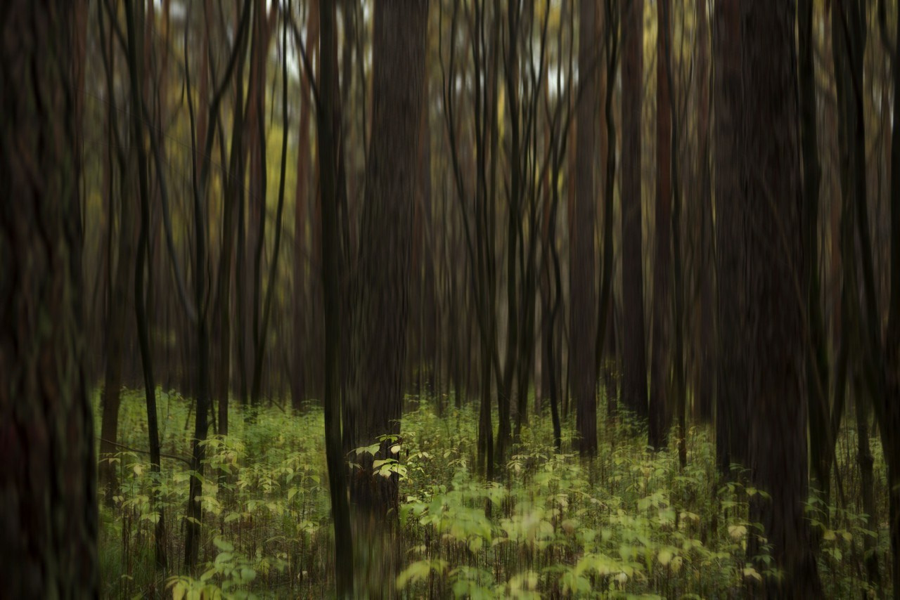 Путешествия говорят. Портретный женский фотограф в Москве Наталия Глазова