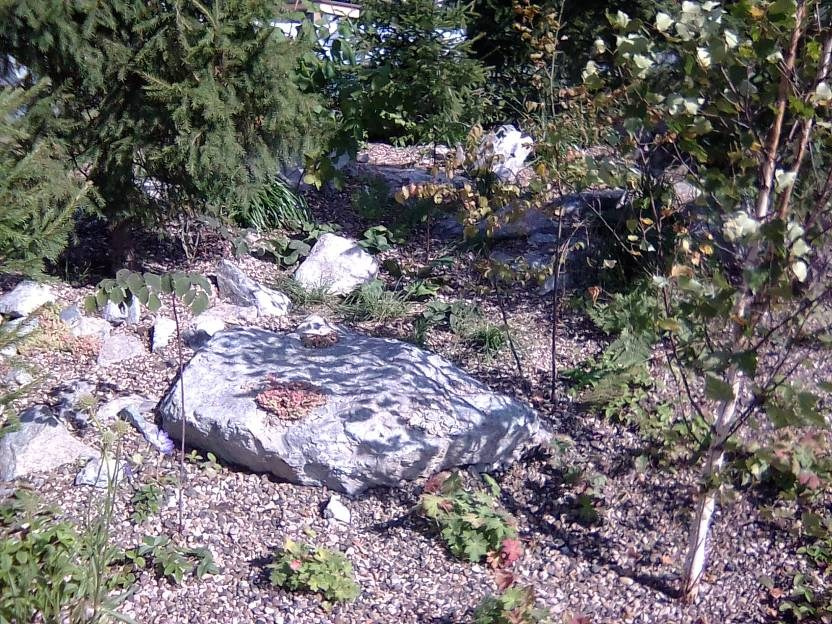 ВНИМАНИЕ! ФЕСТИВАЛЬ ЛАНДШАФТНОГО СТРОИТЕЛЬСТВА. 俄罗斯设计估算