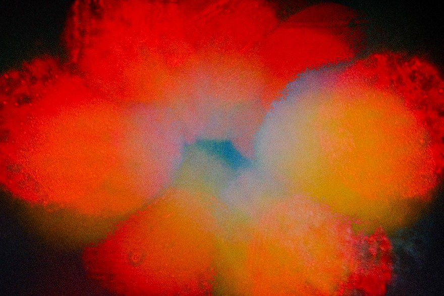 Mountain drive screensavers. Фотограф и оператор с цветным светом в Москве | Лиля Кичигина