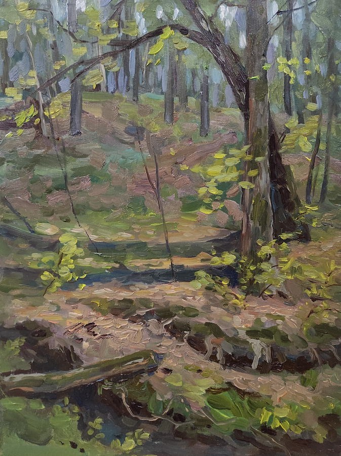 Светлана Соло Орлова. Галерея участников Российской Премии Искусств