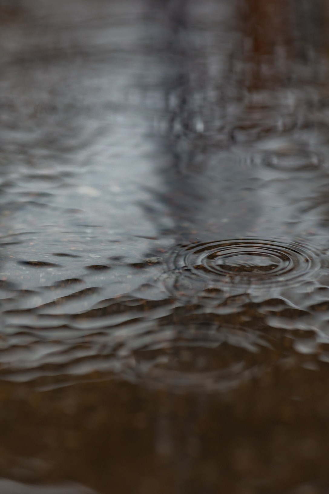 ЧТО НАДЕТЬ НА НОВОГОДНЮЮ ФОТОСЪЕМКУ?. Семейный и детский фотограф |Брянск| Анастасия Перепелкина