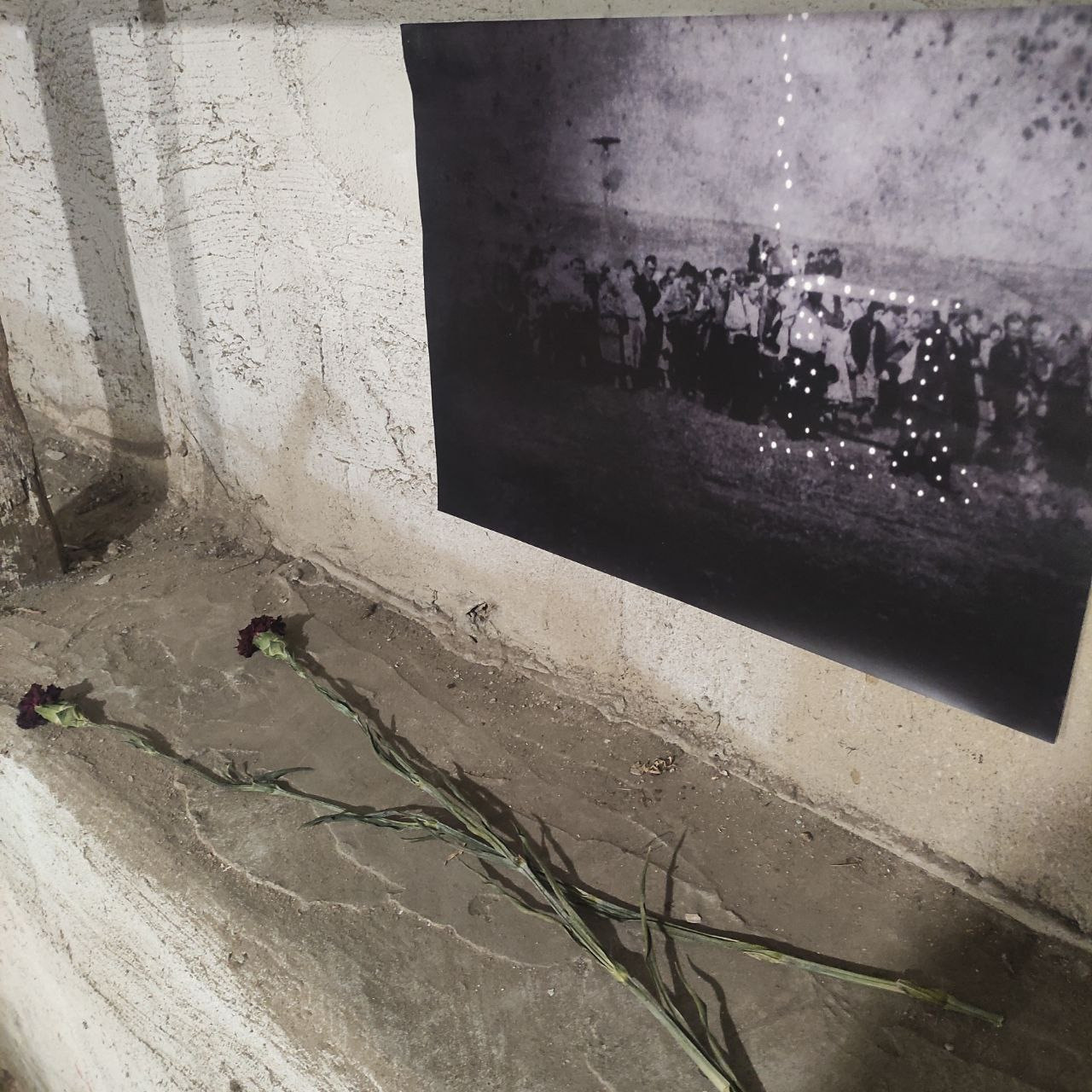 Мы — свет погасших звёзд. Alexey syrov / Visual artist