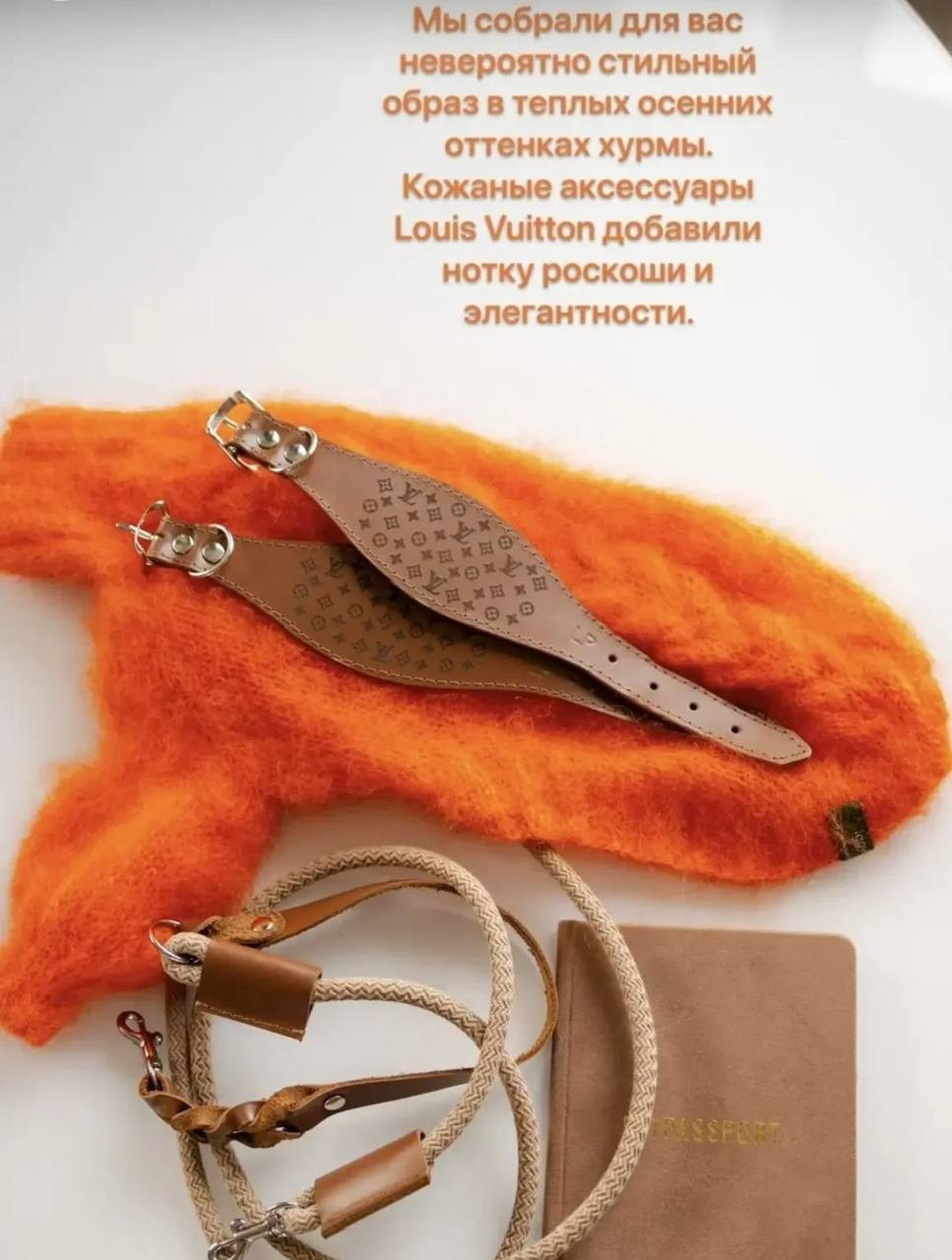 Итоги февраля. Профессиональный питомник левреток РКФ/FCI ASTI SAPPHIRE 💎 Сочи|Санкт-Петербург