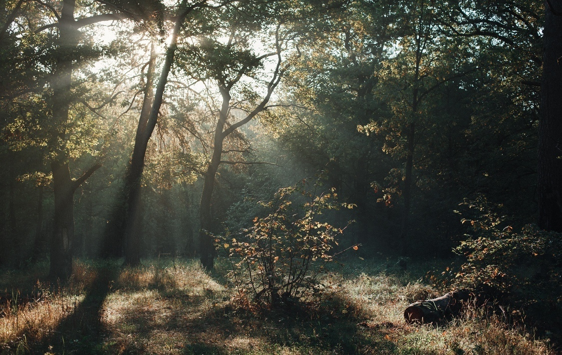 Итоги 2019: лучшие фотографии выпускников фотошколы "Перспектива" за 2. Фотоцентр Перспектива: выпускные альбомы, фотошкола, курсы фотографии