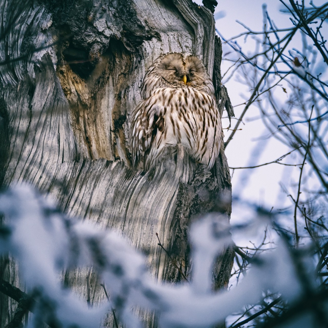 Елена Гонтаренко — художественный портрет. Фотограф в России, Семейный фотограф, репортажный фотограф, детский фотограф, портретный фотограф, контент фотограф, универсальный фотограф