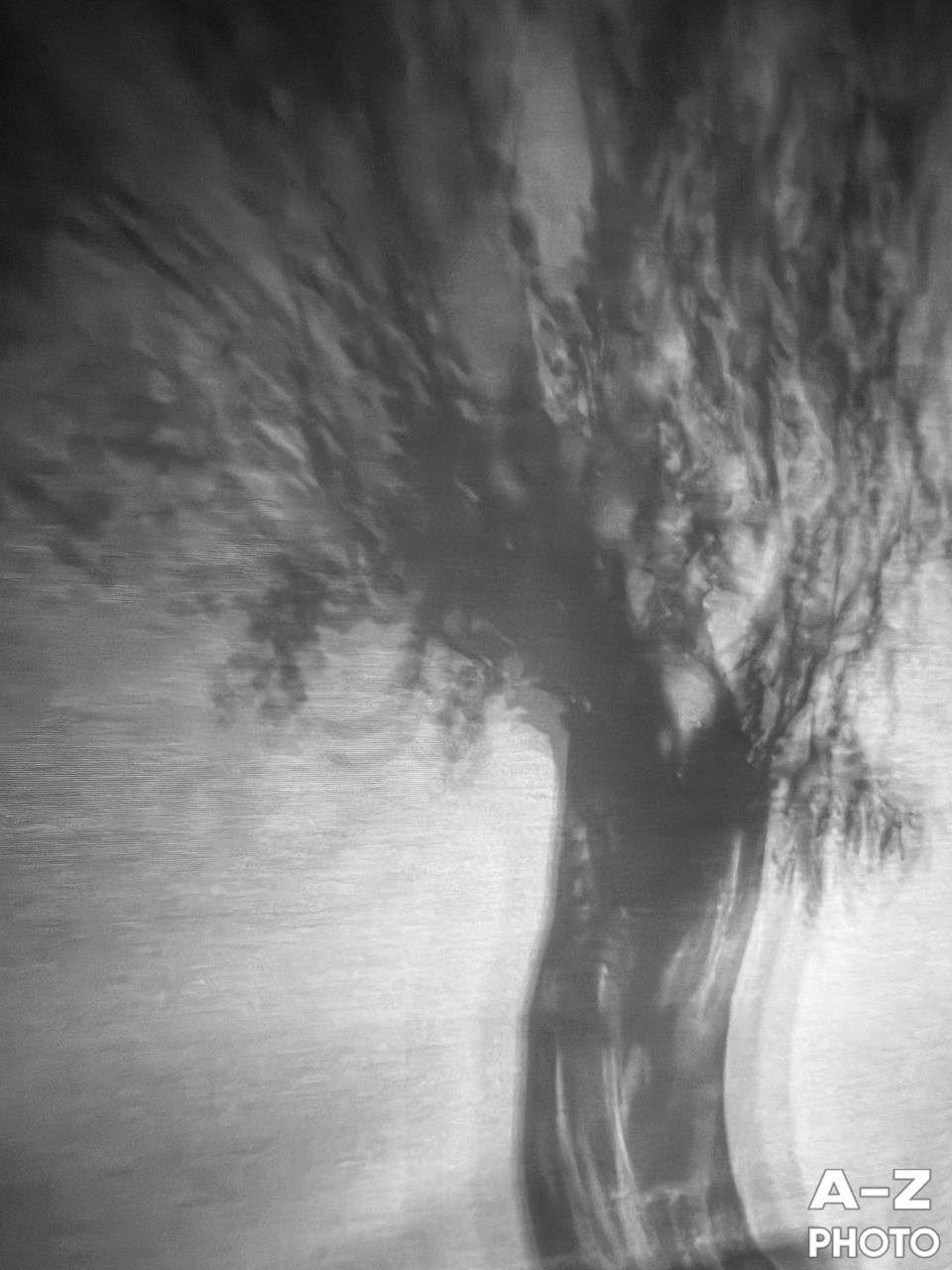 #ФОТОНЕДЕЛИ 16.03.2026. Женский семейный фотограф Тула Москва Захарова Анна