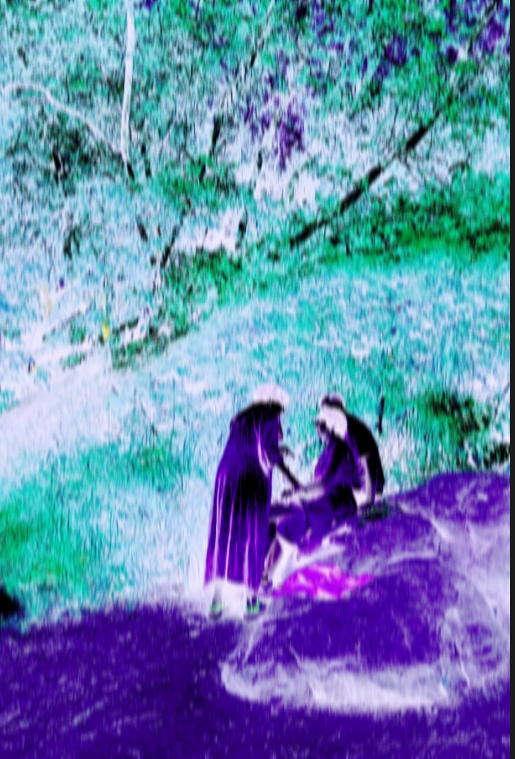 Елена Чернышова — Пираты воображения