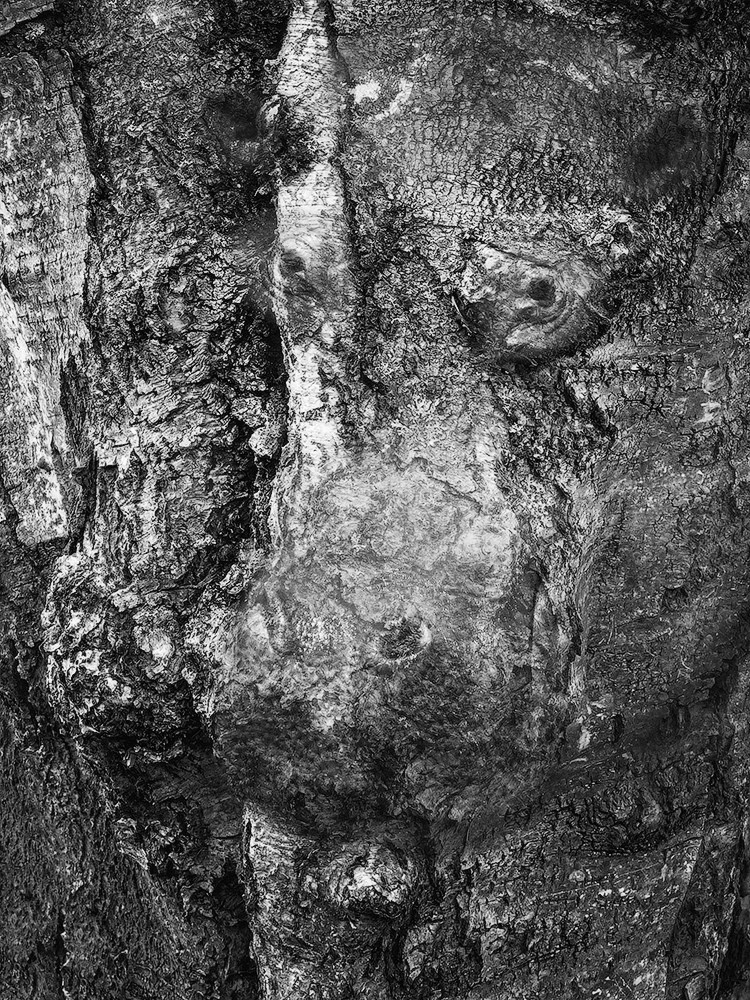 Projects. Landscape Photography by Aleksandr Leshchenok