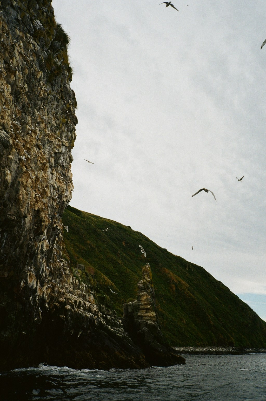 About. Творчество, исцеление, эстетика и щепотка волшебства
