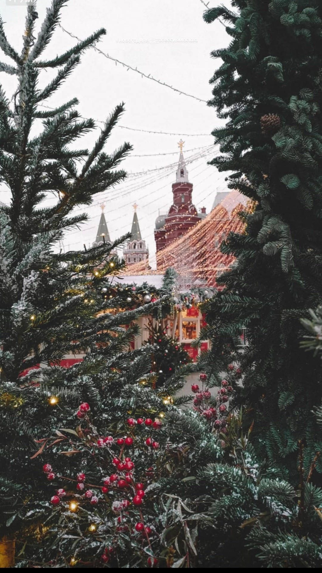 Хочу новогодние фотографии