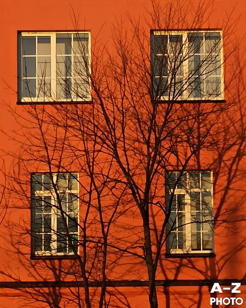 #ФОТОНЕДЕЛИ 16.03.2026. Женский семейный фотограф Тула Москва Захарова Анна