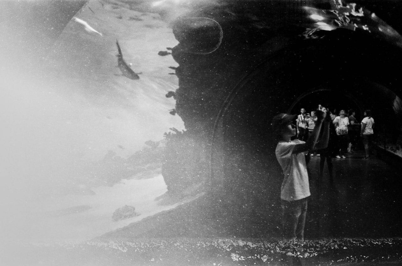 Автор: Михаил Стулов