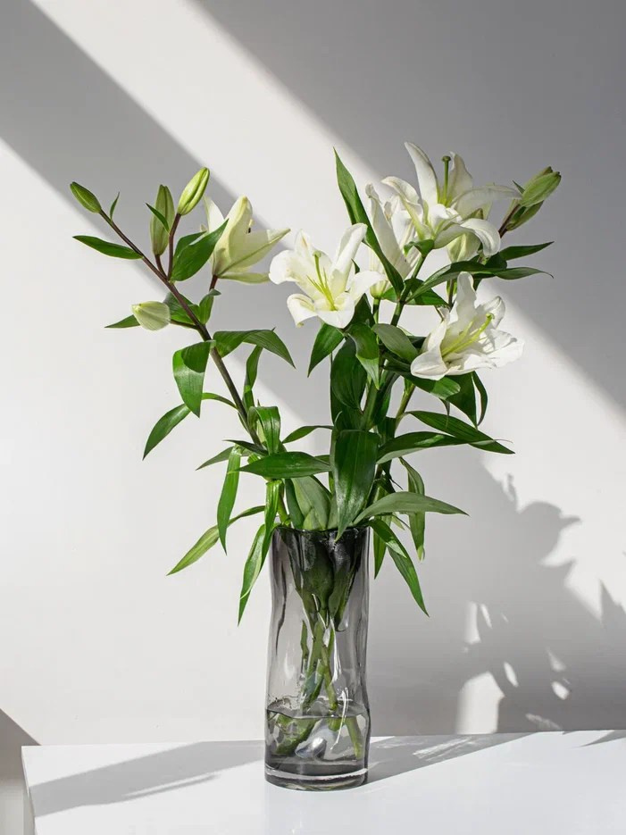 ПРЕДМЕТНАЯ СЪЕМКА. CONTENT MAKING — агентство № 1 в предметной съемке для маркетплейсов