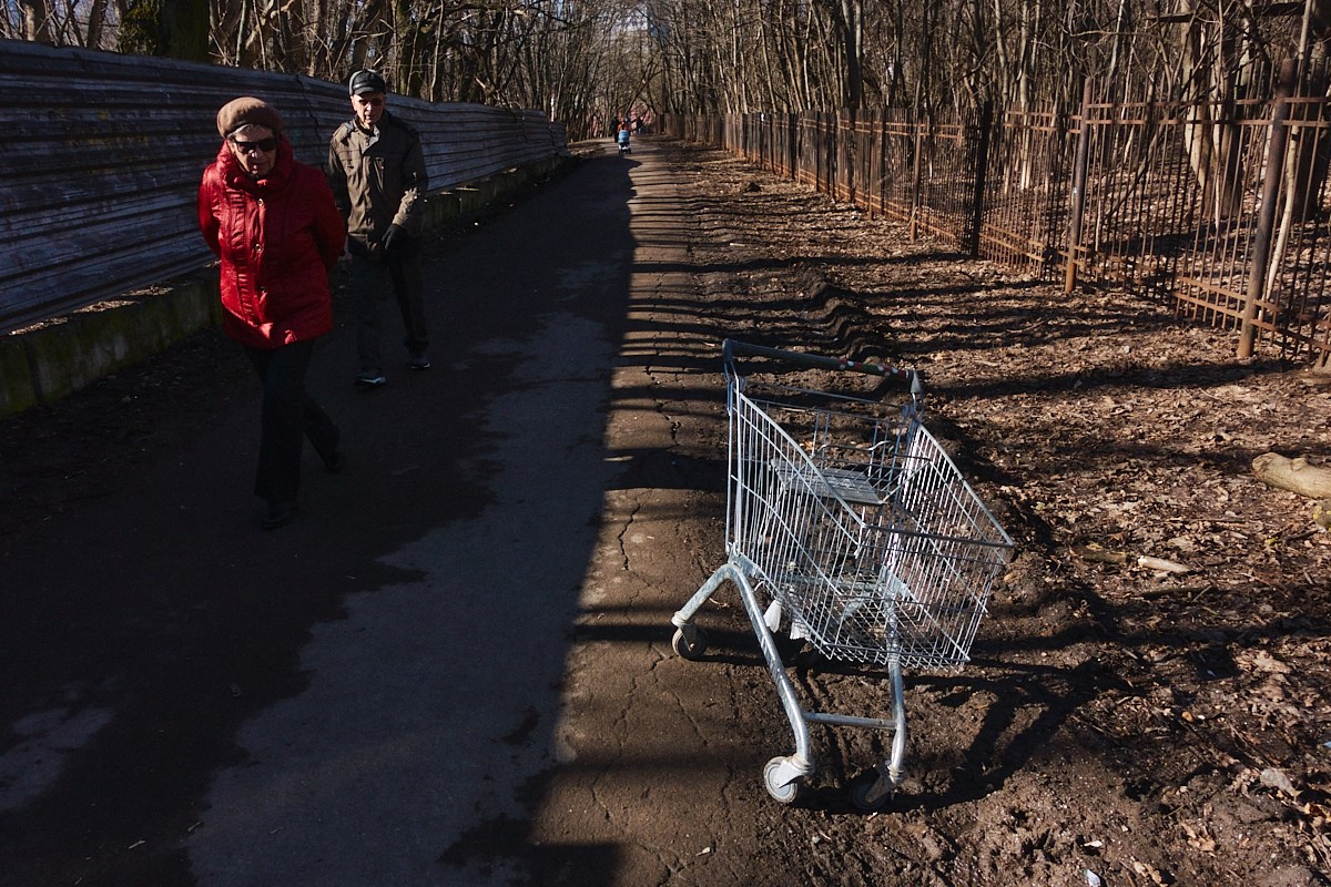 Дневной Сон. Иван Кобяков