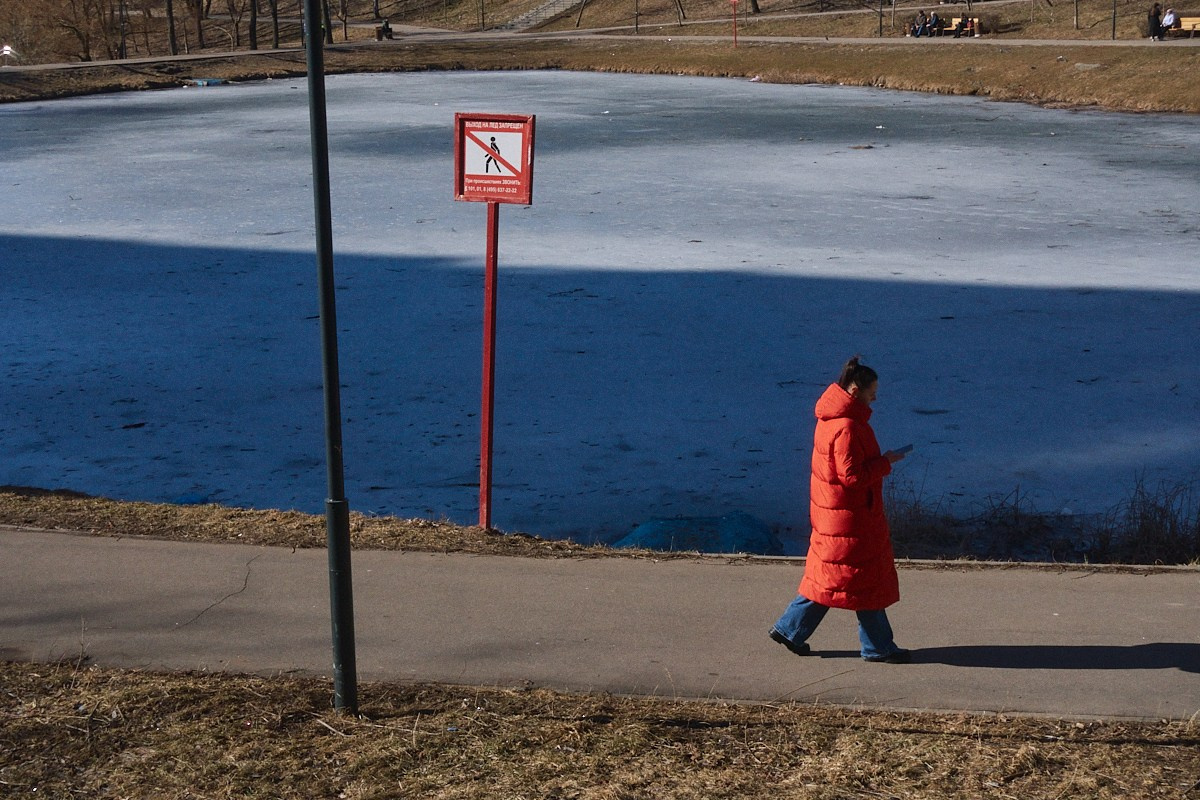 Дневной Сон. Иван Кобяков