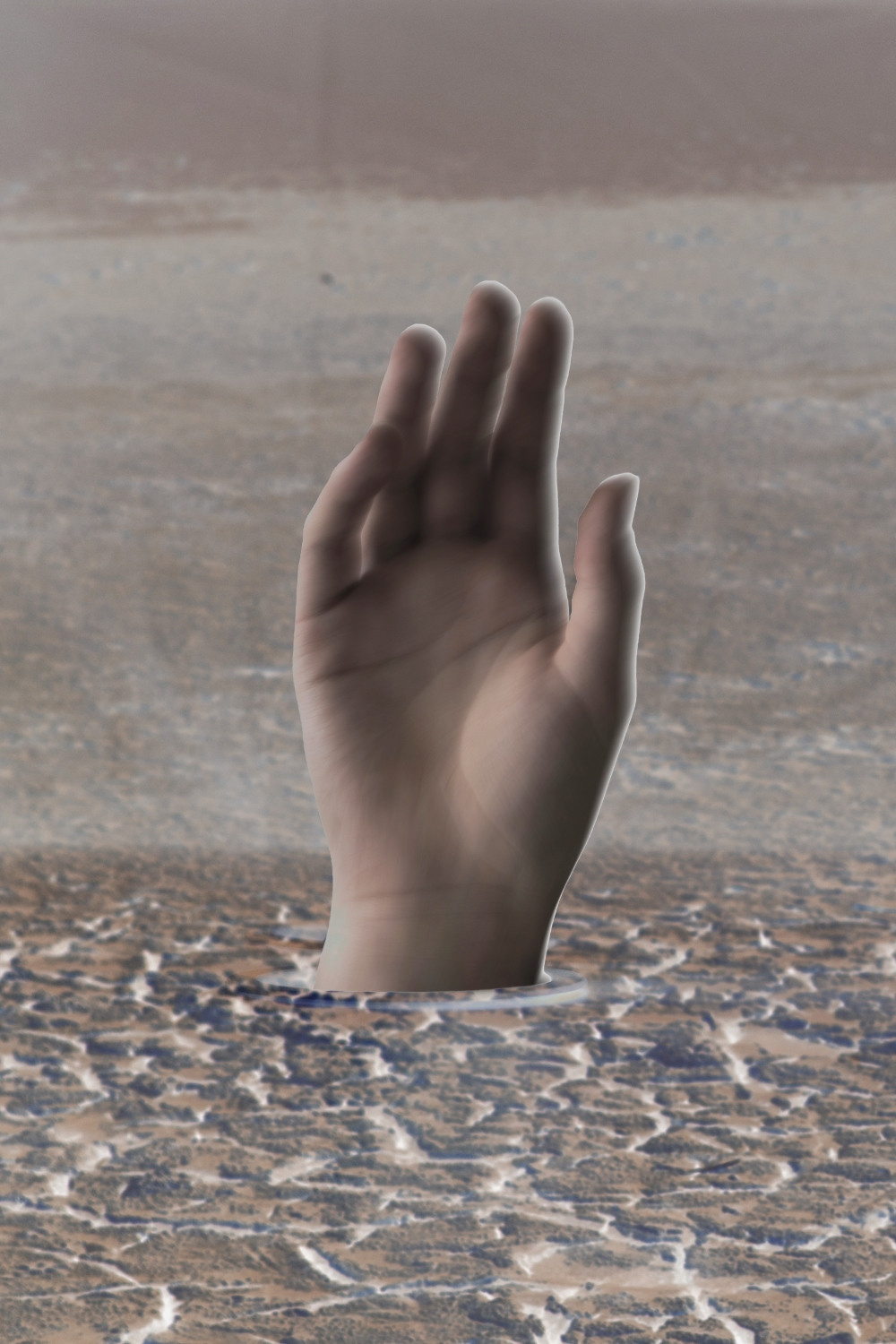 Выставка ''There are no miracles to come'' с 11 января по 11 февраля 2