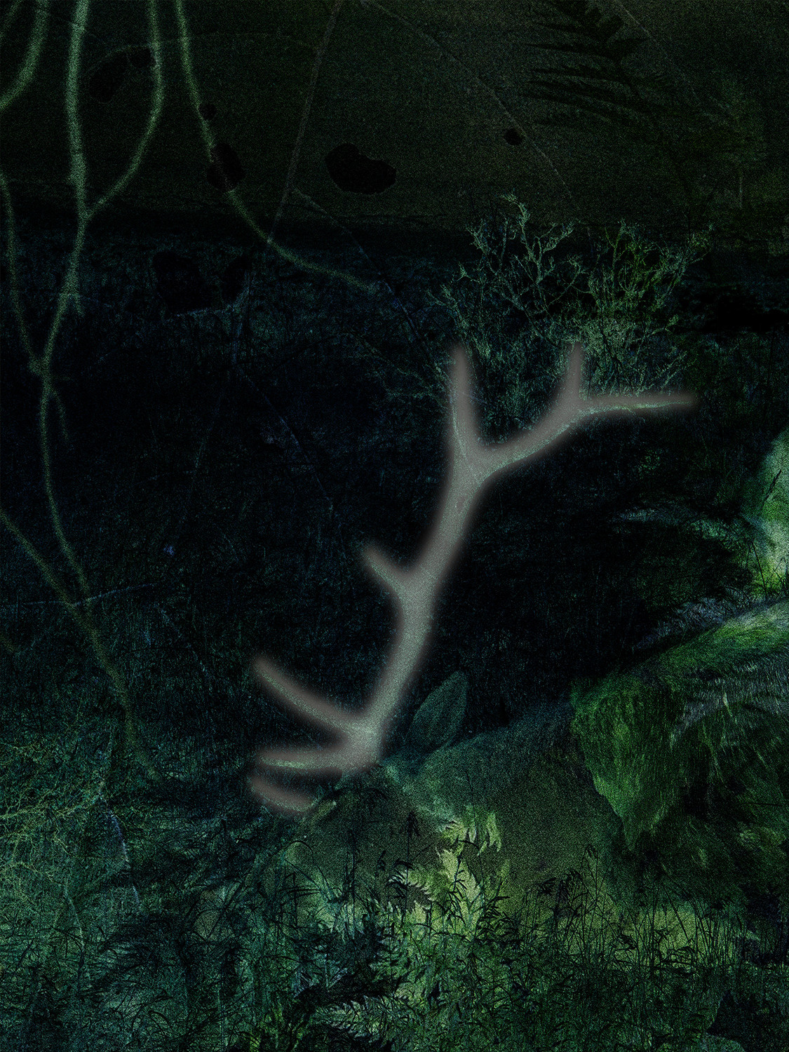 Выставка ''There are no miracles to come'' с 11 января по 11 февраля 2