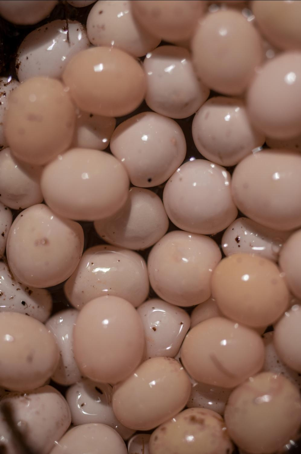 Выставка ''There are no miracles to come'' с 11 января по 11 февраля 2