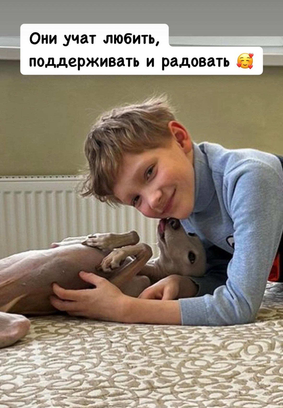 Левретка и ребенок: нежная дружба. Профессиональный питомник левреток РКФ/FCI ASTI SAPPHIRE 💎 Сочи|Санкт-Петербург