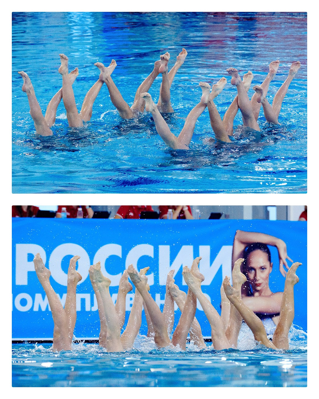 Спортивный фотограф Калининград