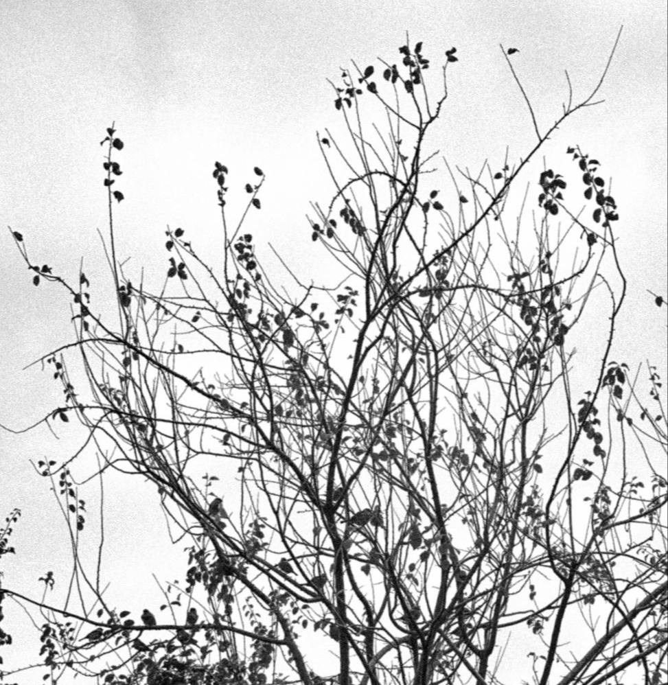 МАРАФОН ФОКУС НА ПРЕКРАСНОМ. Фотограф Анастасия Дмитриева