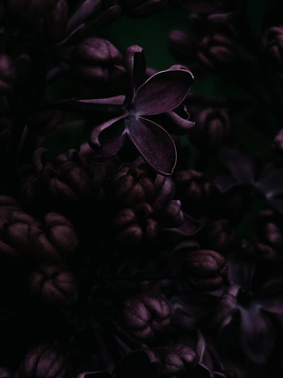 МАРАФОН ФОКУС НА ПРЕКРАСНОМ. Фотограф Анастасия Дмитриева