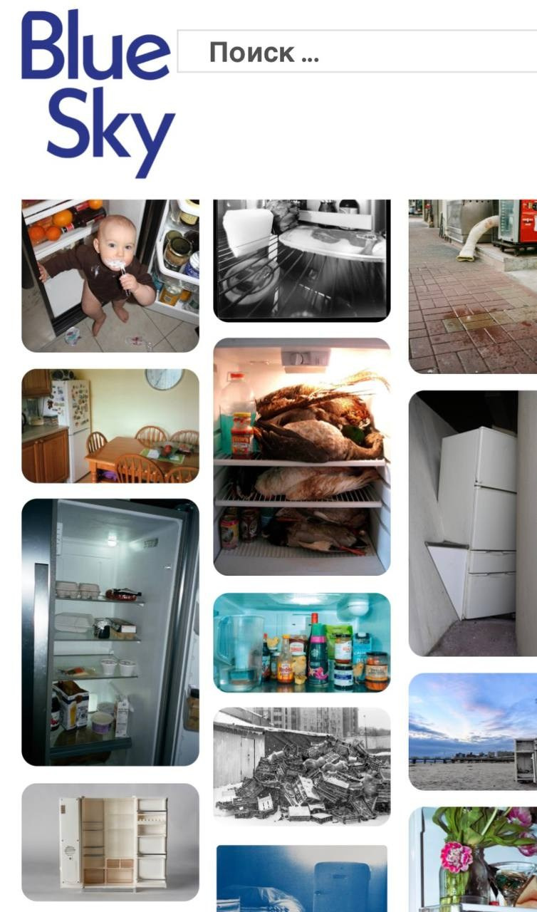Participant of the “The Fridge Show” anniversary digital exhibition, marking the 50th anniversary of the Blue Sky Gallery (Portland, USA). Documentary photographer Elena Serafimova