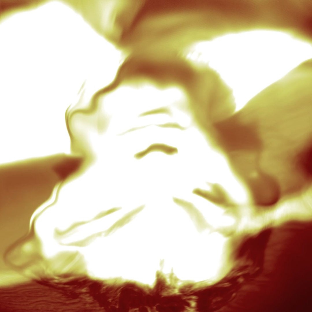 MY 7508 DAY OF LIFE OUT OF (?). Evgenia Popova — Mixed media visual artist