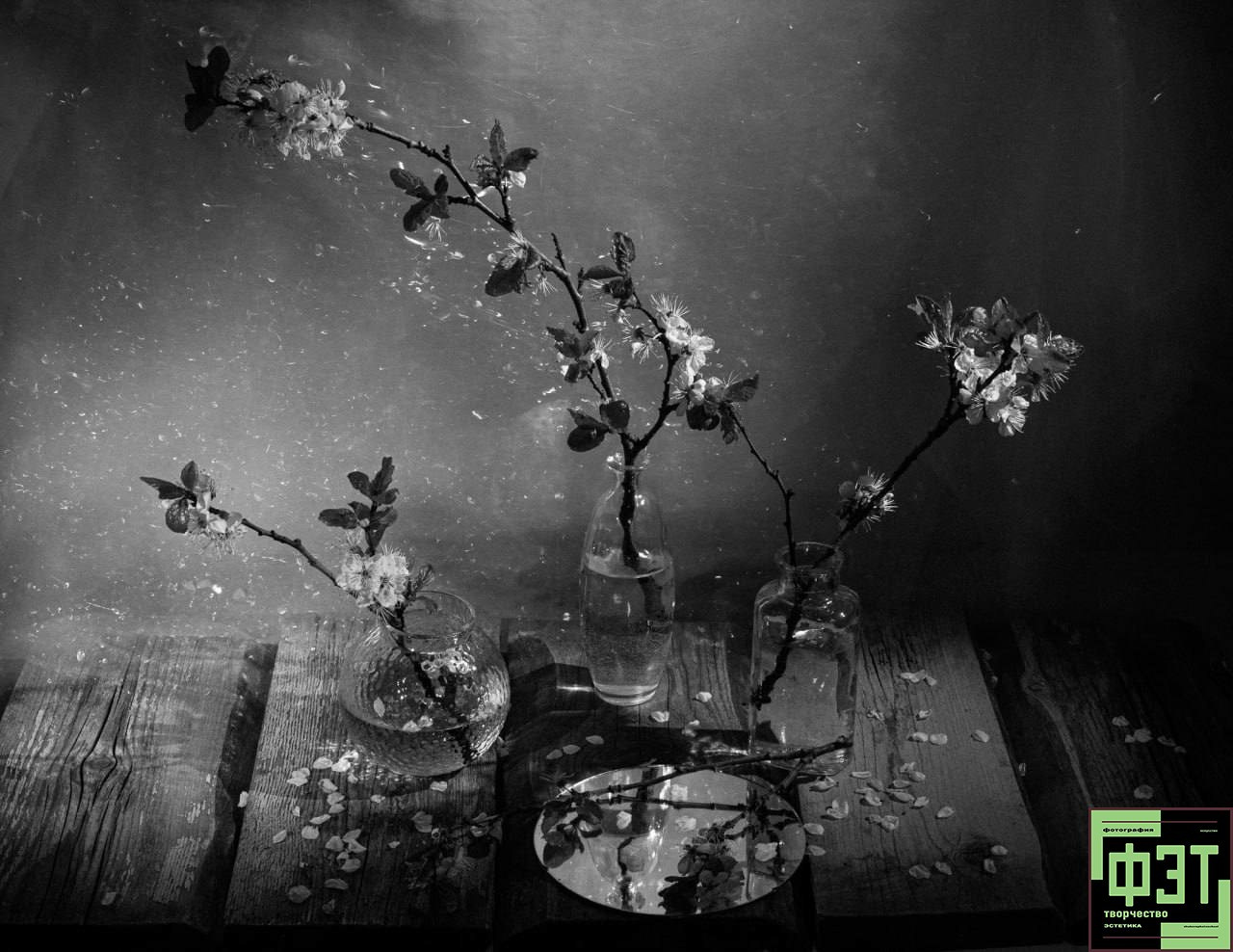 Фотопроект «ФЭТ: Фотография, Эстетика, Творчество». Наталья Жукова. Курсы фотографии