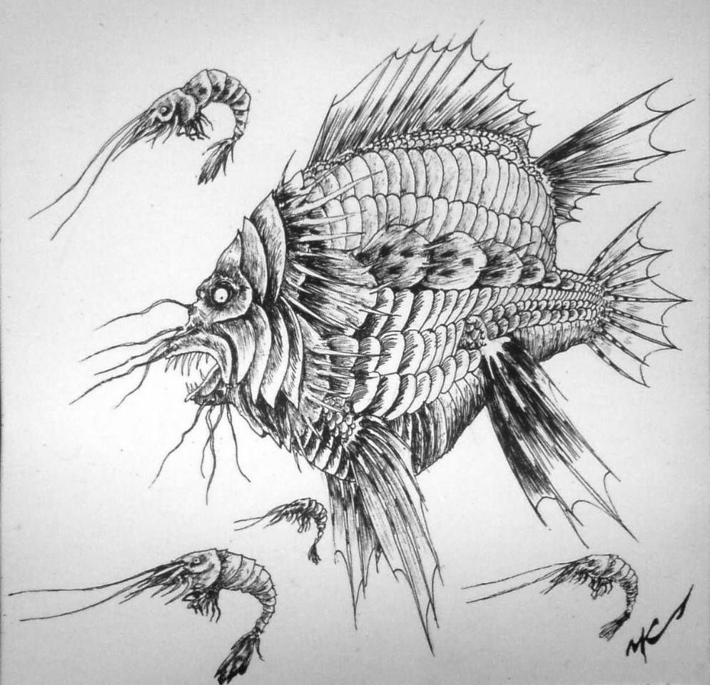 Рисунки. Графика Часовских