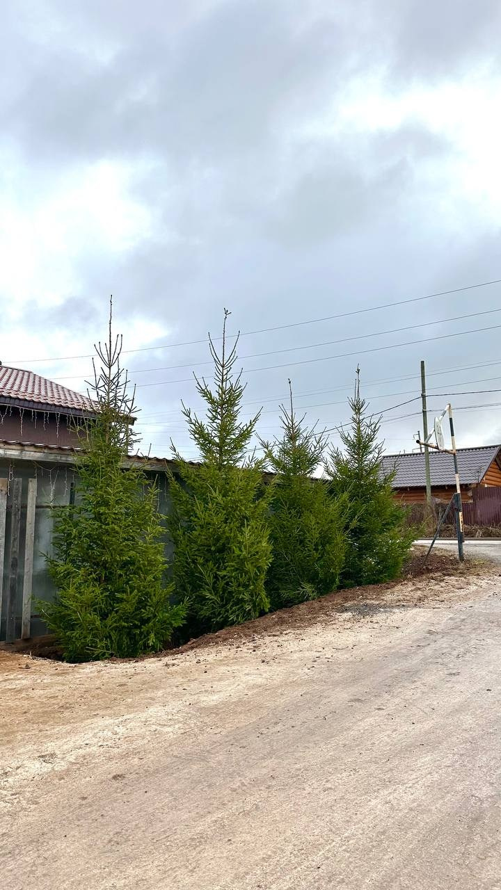 Крупномеры РФ