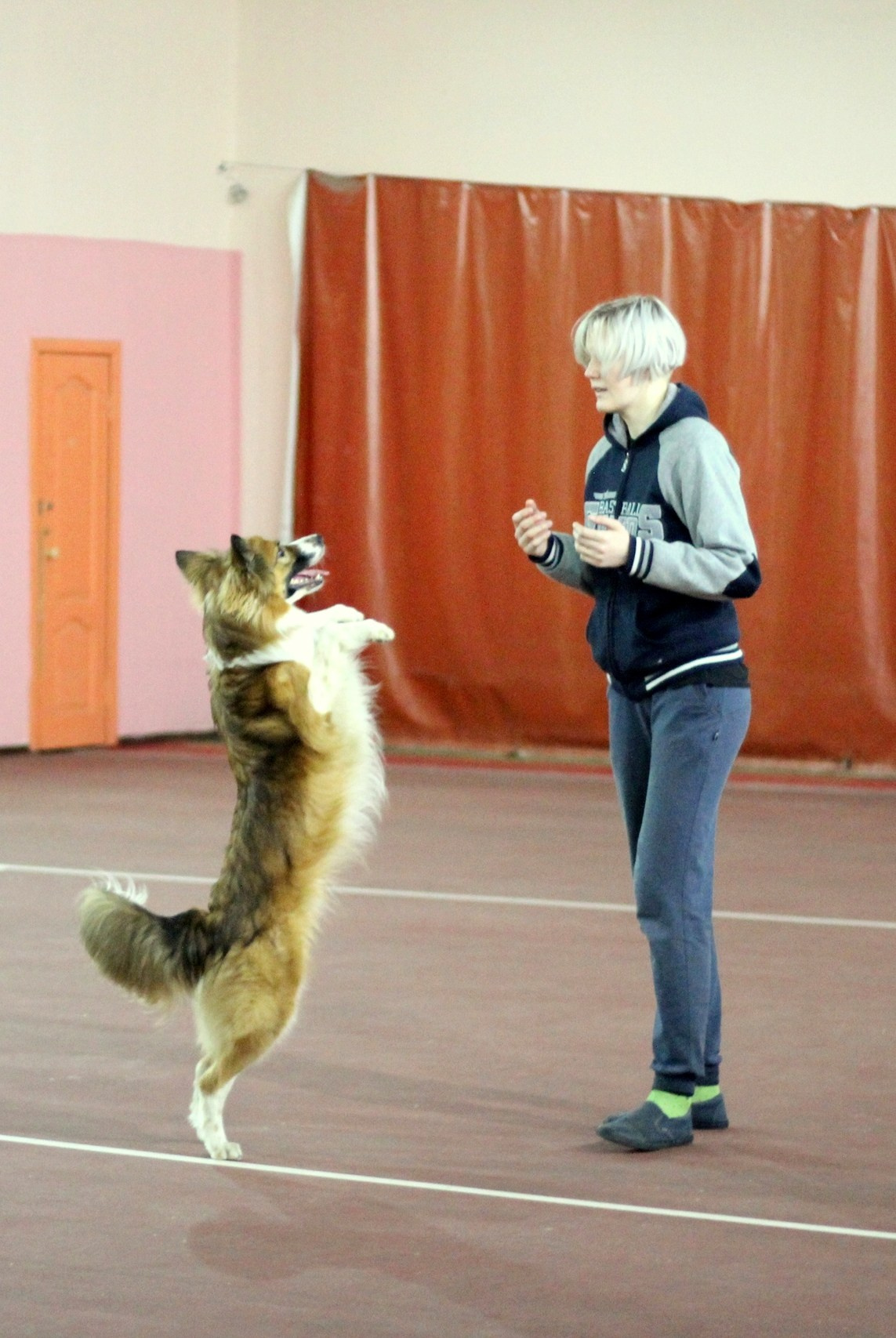 О нас. BLGKV питомник собак