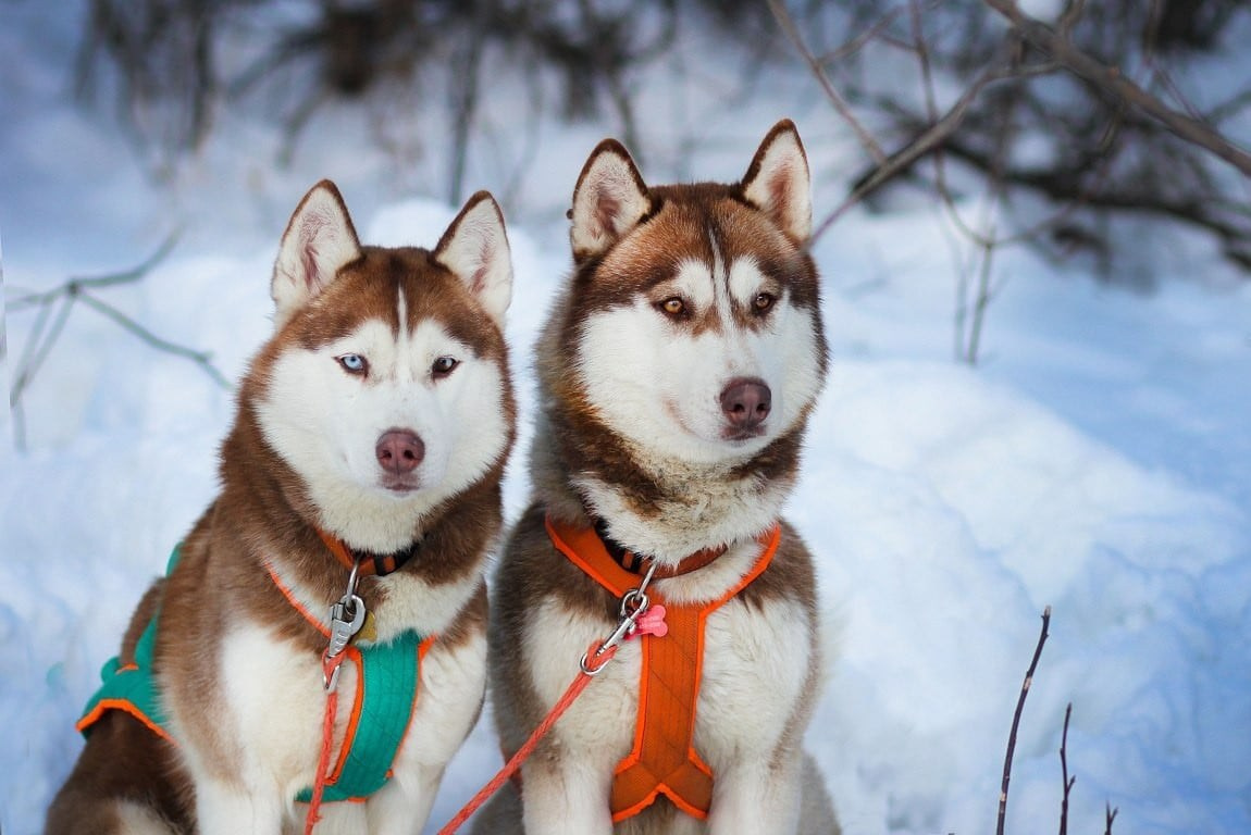 ПРАЙС НА ФОТОРЕПОРТАЖ ТУРЫ ВЫХОДНОГО ДНЯ
