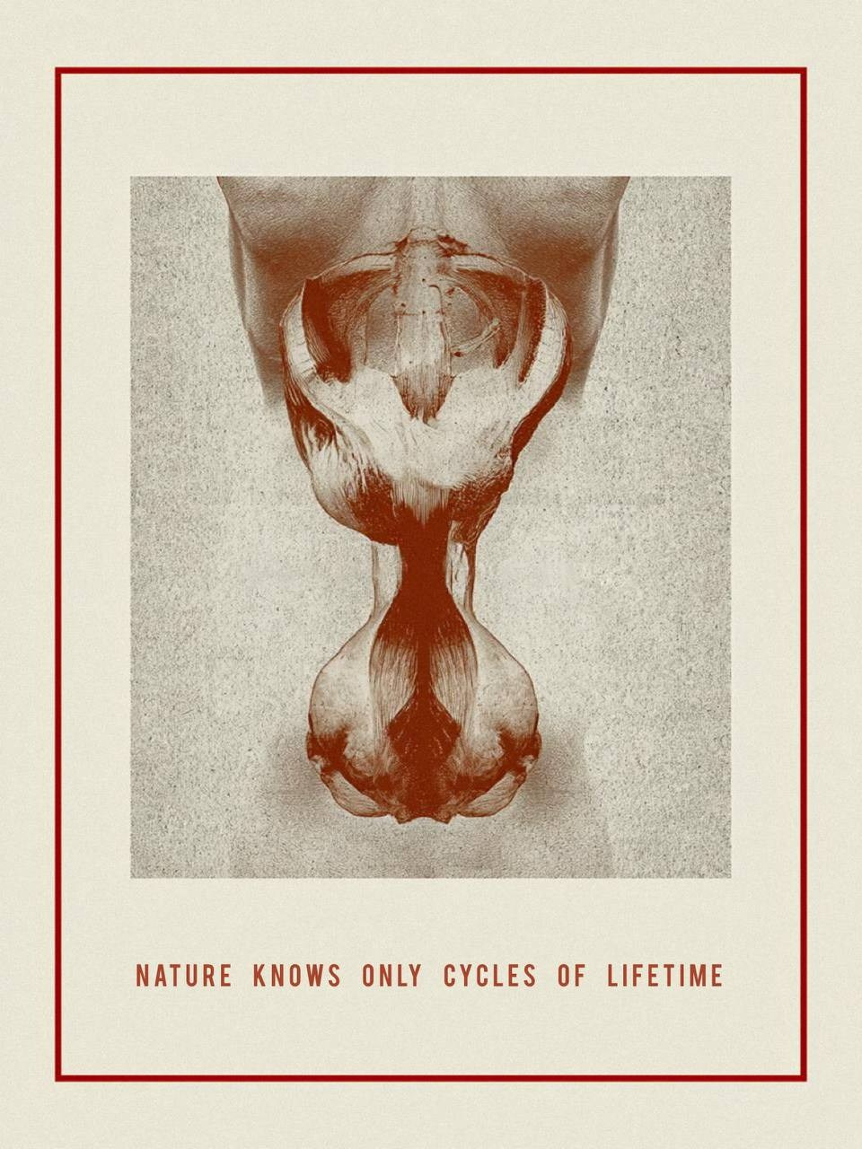 Cycle. WAYS12