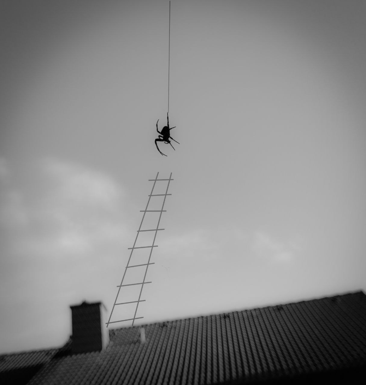 Марафон креативной фотографии. Vladimir Borele Photographer