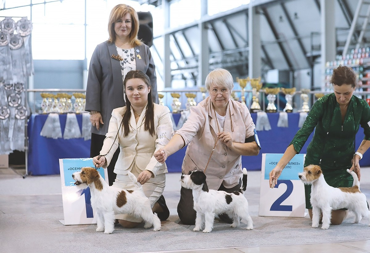 Port Fortis Polka Dot