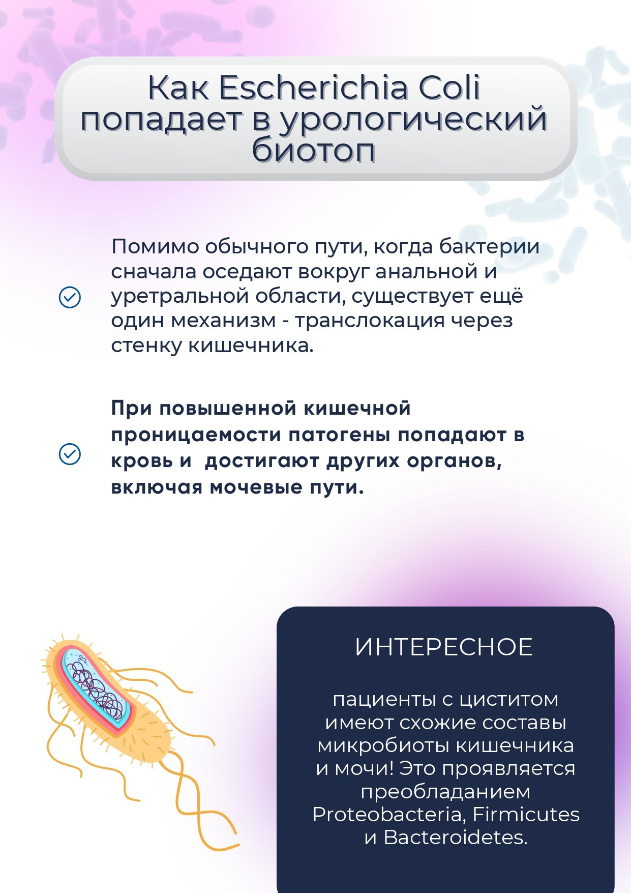 ВедаБиотика. Медицина с душой