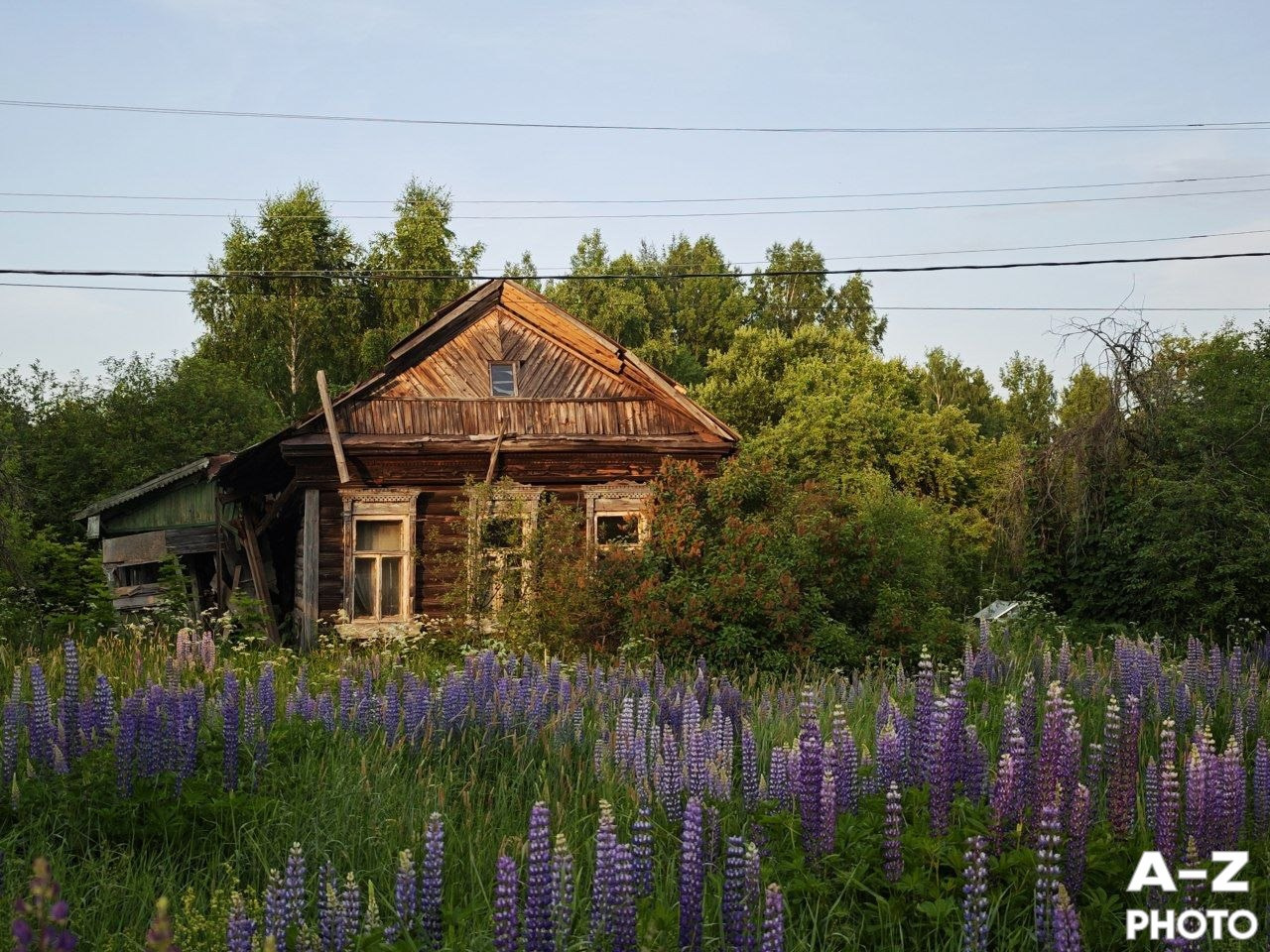 #ФОТОНЕДЕЛИ 16.06.2026