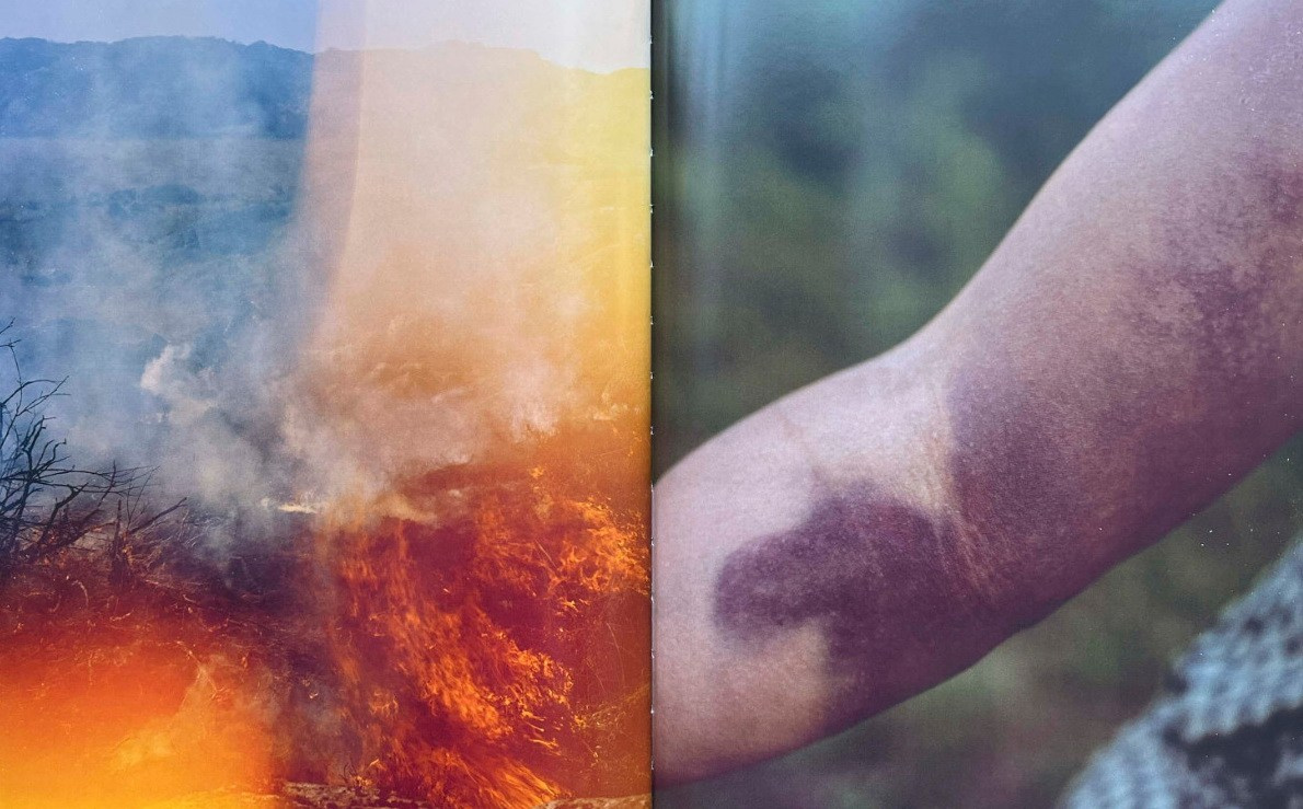 Книга «Gertrud» Мэй Дэниелс (Maja Daniels). Private image