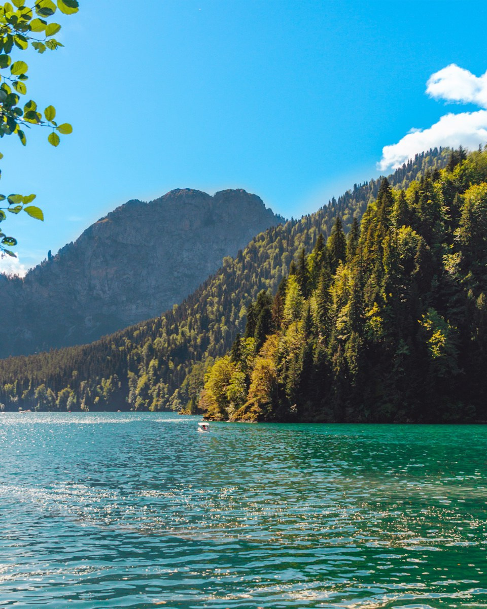 Обучающий фототур в Абхазию 20–25 февраля 2026. Детский и семейный фотограф Елена Михайлова в Москве