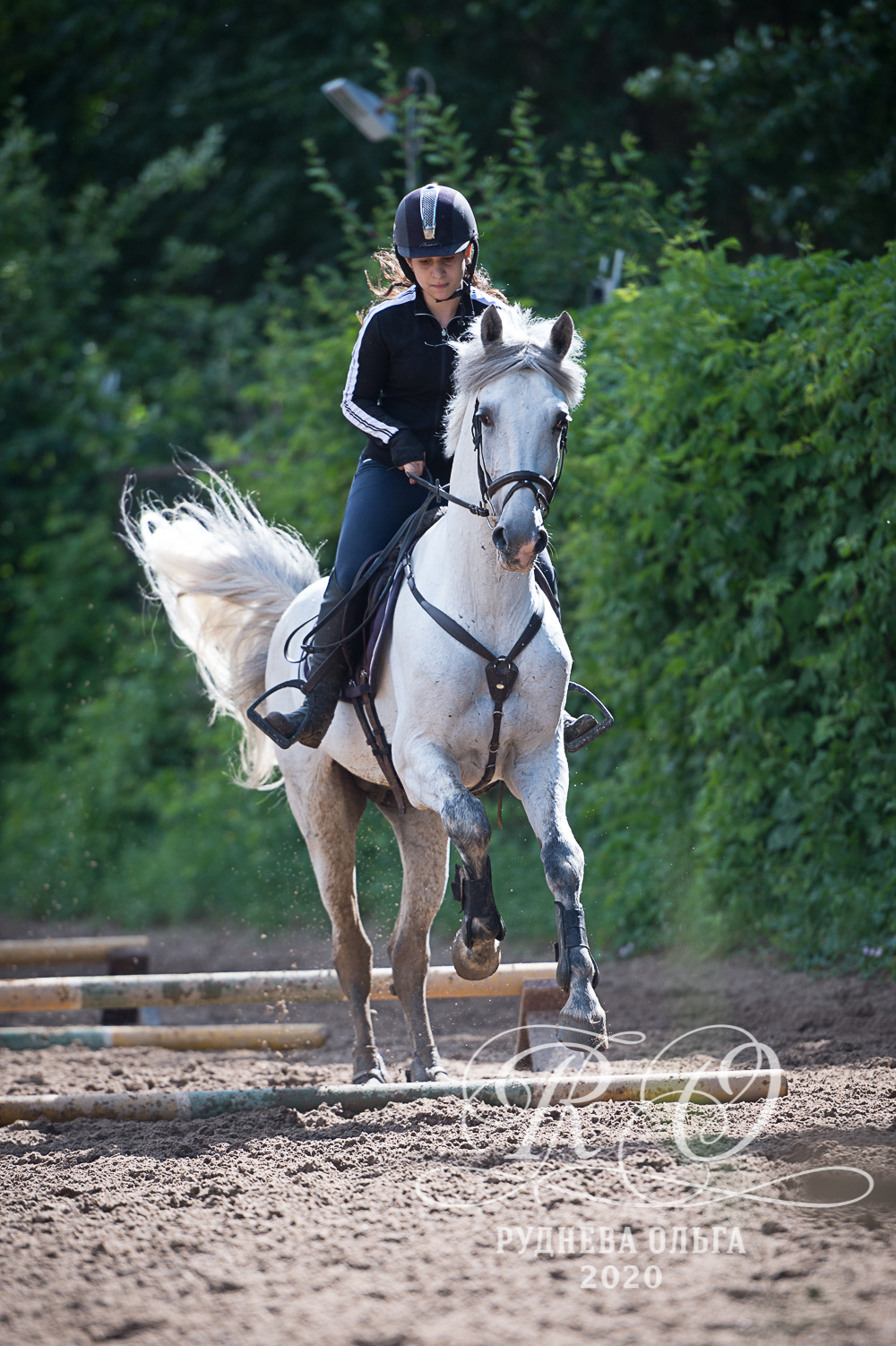 Тренировка в КСК Амадей. ТУРНИРНАЯ КОННАЯ ФОТОГРАФИЯ, Руднева Ольга и Евгений Адеев